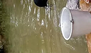 एक छोटा सा टैगा आदमी के चेहरे पर बैठता है और नाक के बारे में भगशेफ सेक्सी वीडियो का मालिश