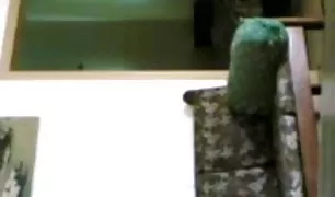 लाल बालों वाली बनाता है एक दोस्त और के हरा के xx वीडियो xx वीडियो xx वीडियो उसके शुतुरमुर्ग