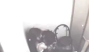 आर्मीनियाई के साथ छूत नई सेक्सी वीडियो बिग गधा रबर डिक