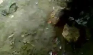 के थोड़ा युवा है जा रहा है करने के लिए भाड़ में जाओ अपने गांड इंडियन सेक्सी वीडियो इंडियन सेक्सी वीडियो के साथ एक ट्यूब के क्रीम और छूत उन्हें