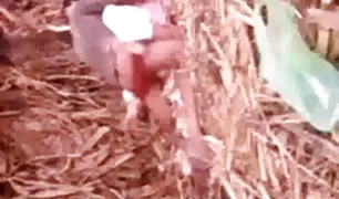 रूस से पोर्न फुल मूवी एक युवा उपहास के साथ घर सेक्स