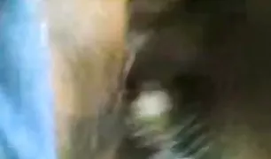 इतालवी हिंदी सेक्सी वीडियो प्लेयर ट्रांसका और दो लोग