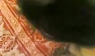 लाल बालों वाली पत्नी सेक्स हिन्दी सेक्स साइट सेक्स पर एक बार के साथ एक भीड़ के पुरुषों