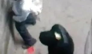 पोती एक कमबख्त मुर्गा के साथ दादाजी के चेहरे पर बैठता है और फिर अपने डिक सेक्सी वीडियो हिंदी बेकार है