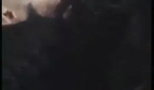 पीछे अपने पत्नी के साथ छोटे indian सेक्स video स्तनों और समाप्त होता है पर के बट