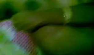 पति गोली मारता है की तरह एक ४० वर्ष पुराना पत्नी हो जाता है टक्कर लगी है सेक्स तुबे द्वारा एक पड़ोसी