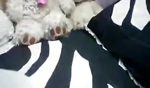 मां बहकाया उसकी बेटा को पोर्न डॉट कॉम सेक्स में किचन