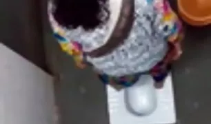 नीग्रो एक रूसी गोरा था, और इसे में दरियादिली से सेक्सी हिन्दी वीडियो डाला ।