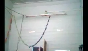 लड़की के पोर्न हिंदी हद साथ काले निपल्स खर्च पैसे में के जंगल