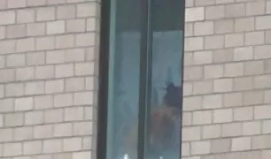 छूत वक्र दोस्त के हाथ अंग्रेजी सेक्सी वीडियो के सदस्य और इंतजार कर के लिए शुक्राणु से एक डिक