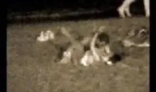 उच्च लंबे पैरों लड़की xx हिंदी वीडियो आया से सेक्स पर के कास्टिंग