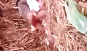 छिपा कैमरा पर लैपटॉप लिया सेक्सी इंडियन वीडियो बंद एक थोड़ा किशोरी में जाँघिया