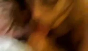 का गुच्छा अश्वेतों हॉट पोर्न विशाल सदस्यों भाड़ में जाओ सफेद लड़की करने के लिए आधा मृत