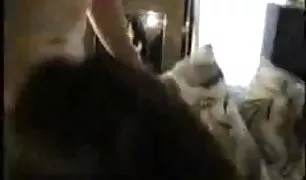 पूर्व समाप्त होता है और संभोग सुख hd इंडियन सेक्स से मुर्गा पर धार के साथ चिल्ला