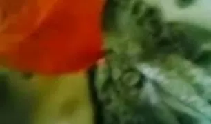 रूसी शुकरा बेकार पोर्न मूवी इन हिंदी है लिंग बच्चा में सामने के कैमरा फोन