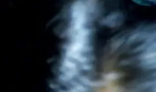 एक युवा ताजिक देसी हॉट वीडियो घर पर के सोफे