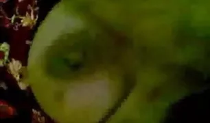 बेटा बेकार है हद इंडियन पोर्न मां में डॉर्म जबकि पिताजी पर काम