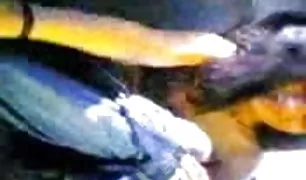 मैं एक कुत्ते शैली पर डाल दिया और मैं चश्मे और गोल्फ सेकस वीडयो में एक उत्कृष्ट लड़की मिल गया ।