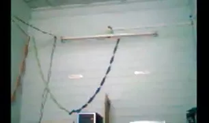 युवा और सुंदर क्सक्सक्स कॉम वीडियो छात्रों