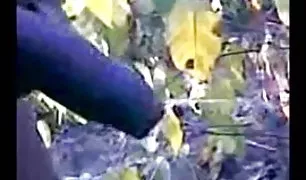 परी के क्सक्सक्स कॉम साथ फैशनेबल टैटू