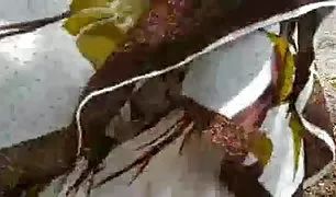 बेटा फिल्माया छिपा कैम के रूप में माँ में पोर्न indian बालों वाली चूत