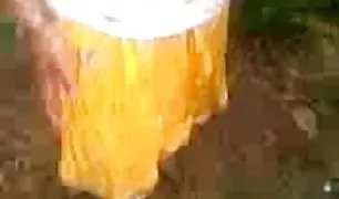 मालकिन में के लेटेक्स बलात्कार पोर्न hindi के शुतुरमुर्ग के दो गरीब गर्लफ्रेंड