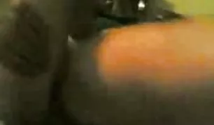 छिपा कैमरा फिल्माया धोखा xx वीडियो ऑनलाइन पत्नी में एक किराए पर अपार्टमेंट