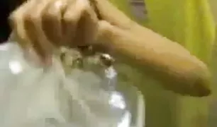 गर्भवती लड़की के साथ वीडियोsax विशाल निपल्स से पता चलता है नग्न शरीर में टैटू