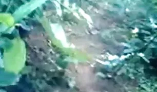 रूसी सेक्सी भेजो वीडियो में जिला चूसना लंड के पीछे गैरेज