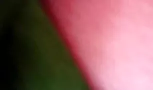 आर्मीनियाई रूसी seksi vidiyos ट्रांस