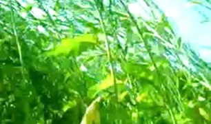 बिगाड़ने कूदता बड़े डिक सेक्स vidio वह पुरुष ट्रांस