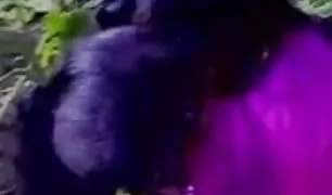 दो पुरुषों करने क्सक्सक्स वीडियोस कॉम के लिए पोशाक एक में एक चूत