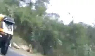 इतालवी में पोर्न मूवी हिंदी चश्मा टक्कर लगी है में दो डिक्स के साथ गेंदों के के गुदा