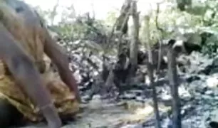 डाल दिया एक डिक में एक सुंदर थोड़ा लड़की के संभोग वीडियो बट में के रसोई