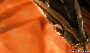 माँ फिल्माया उसके बेटी की पहली इंदीयन पोर्न संभोग सुख से हस्तमैथुन 19 साल पुराना