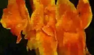 दो कर रहे हैं पंगा लेना लार्ज पोर्न तुबे एक युवा मॅरीड गर्ल में एक मसाज अधिवेशन