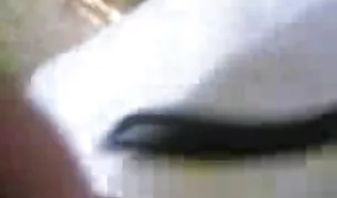 सुंदर लड़की चश्मे में कैमरे के सेक्स विडिओ सामने टपकाव का