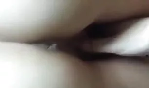 पति कुत्ता शैली युवा सक्स विडियो वसा प्रेमी कुत्ता