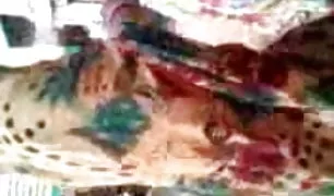 नशे में धुत युवा फ्री सेक्सी पिक्चर जोड़े ने दो सदस्यों के साथ क्लब के शौचालय में बिताया